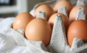Close-up of brown eggs in a carton — ideal protein source for runners