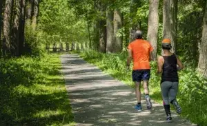 Two runners jogging through a forest trail, illustrating the concept of fasting and running for endurance training.