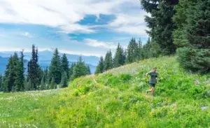 Runner on a mountain trail training for an ultramarathon — illustrating how long it takes to run 50 miles