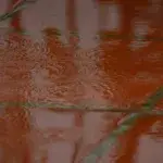 triathlon in the rain transition area with puddles forming on tiles