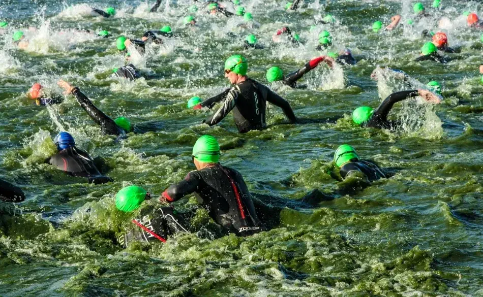 Athletes swimming at the start of an Ironman 70.3 race, focusing on cut off times.