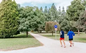 How to Fit Park Runs Into Your Running Training with two runners jogging in a park