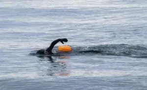 Triathlete practicing how to breathe when swimming freestyle in open water wearing a wetsuit and tow float