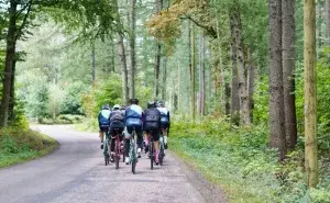 Cyclists riding together in the forest during base training, showing effective methods of training for road cycling