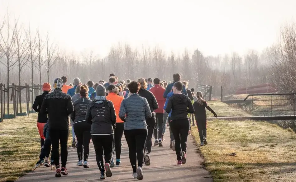 Group of runners doing a recovery run on a cold morning trail, showing relaxed pacing and easy movement.