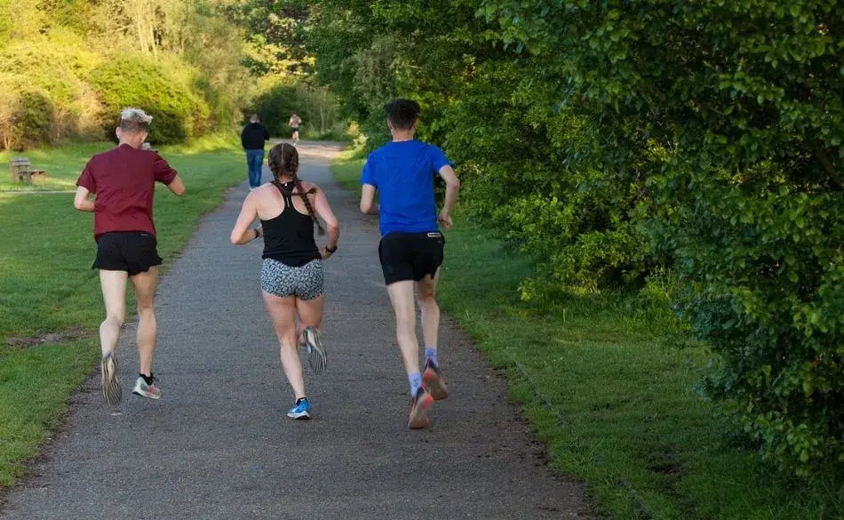 runners doing base training for running on a quiet shaded path