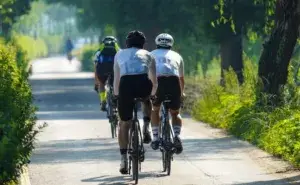 Group of cyclists riding on a sunny path practicing cycling fasted
