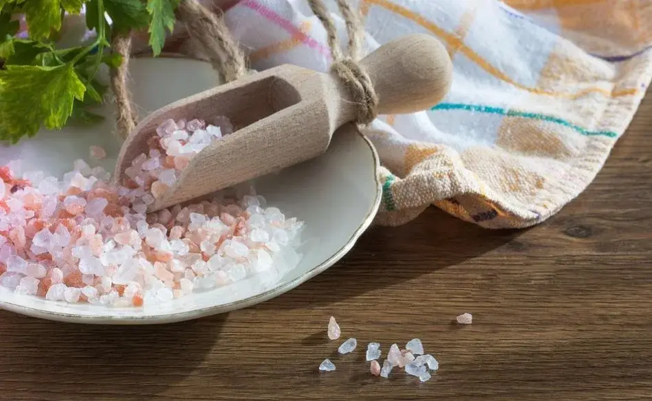 Himalayan salt crystals on a plate symbolizing natural electrolyte source for runners