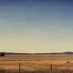 Bin to Bin Marathon 2026