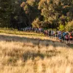 Lonely Mountain Ultra 2026