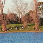 Sri Chinmoy Albert Park Half Marathon, 10km and 5km Run 2026