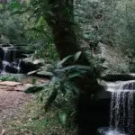 Sydney Trail Half Marathon Winter Edition 2026