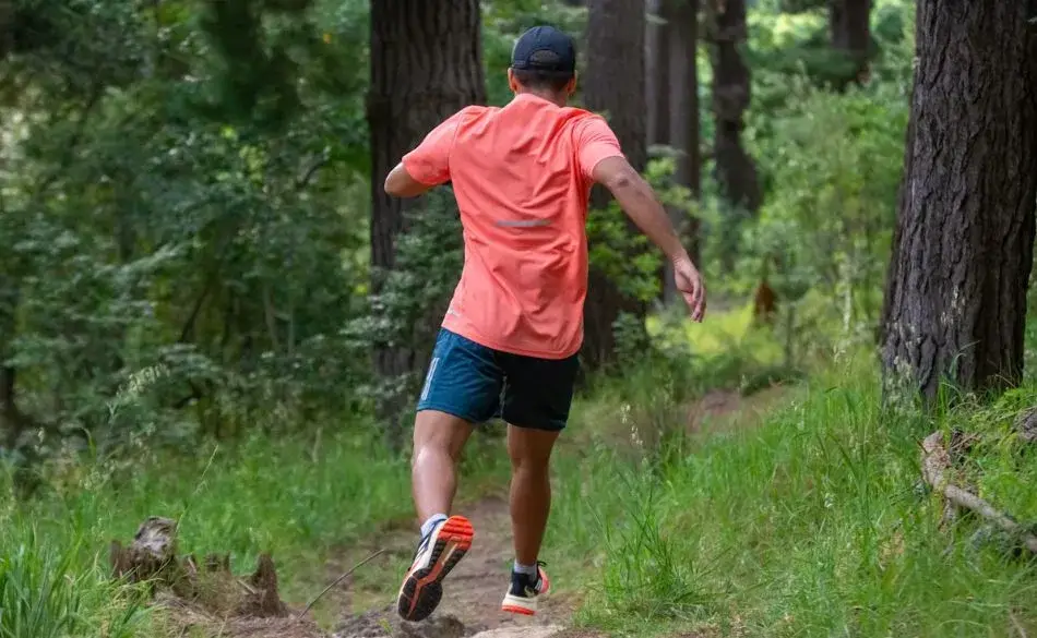 Runner training on a forest trail, showing consistent running frequency and easy aerobic effort for long term endurance development