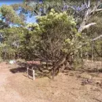 Ark Sports Recovery – Bannockburn 7.5km 2026