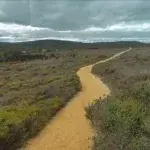 GCCC – Anglesea 8.2km 2026