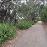 GCCC – Barwon Valley Park Half Marathon 2026