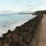 GCCC – Point Lonsdale 10km 2026