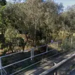 Good.All Protein – Fyansford Four Bridges 5km 2026