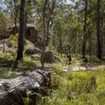 Gravel n Granite 2026