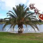 Reindeer Run 2026